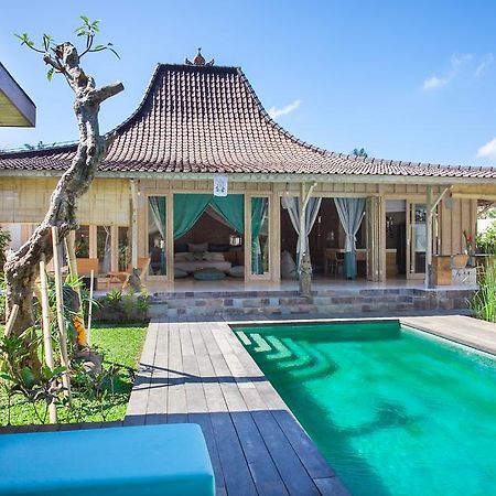 Mana Sari Villa Ubud  Bagian luar foto